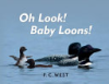 Oh_Look__Baby_Loons_