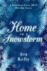 Home_in_a_Snowstorm